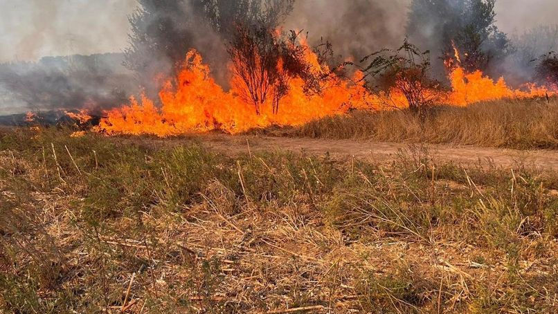 Atenție: Întreaga Republică Moldova, sub Cod Galben de pericol de incendiu