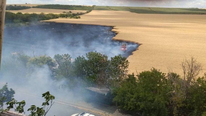 Incendiu la periferia orașului Bender: Cinci hectare de grâu, cuprinse de flăcări