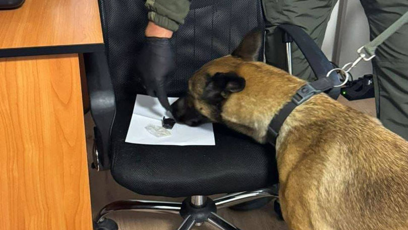 Substanță suspectă, descoperită asupra unui pasager la PTF Palanca. Ce spun vameșii