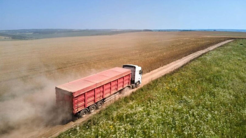 Grâul se scumpește în Moldova. Blocajele din Rusia schimbă jocul pe piața cerealelor