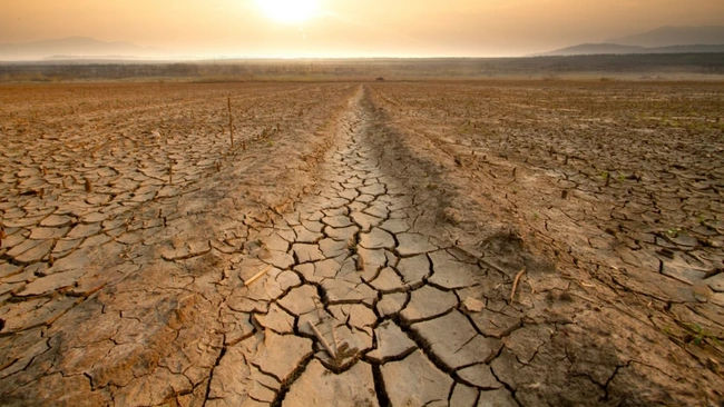 Experți: Fenomenul Super El Niño va declanșa un val global de scumpiri alimentare