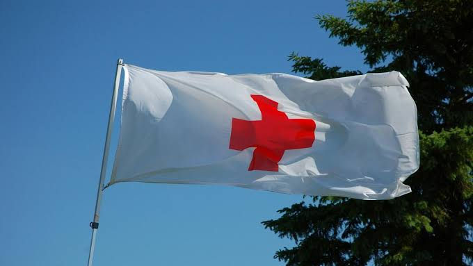 Moldova și IFRC și-au confirmat interesul pentru aprofundarea cooperării