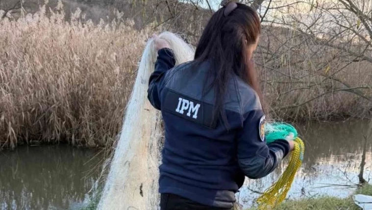 Braconaj, tăieri ilegale și amenzi: IPM a intensificat controalele în țară