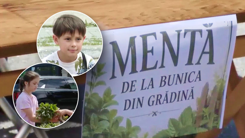 La doar 7 ani, un băiețel din Strășeni își câștigă singur banii de buzunar vânzând mentă