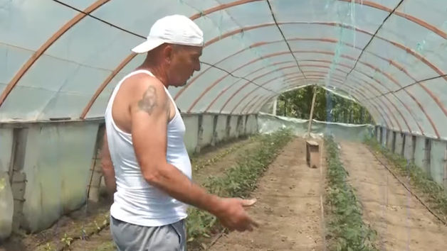 După moartea soției, continuă să-i ducă mai departe visul. Istoria unui gospodar