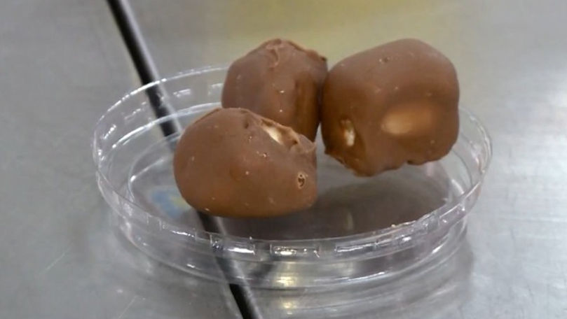 Un antreprenor francez produce la Chișinău fructe moldovenești învelite în ciocolată