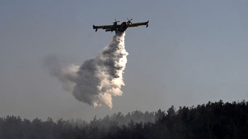 Incendiile de vegetație fac victime în Grecia. Cel puțin două persoane au murit