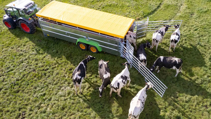 Animalele transportate și cele crescute în ferme vor fi protejate după norme europene