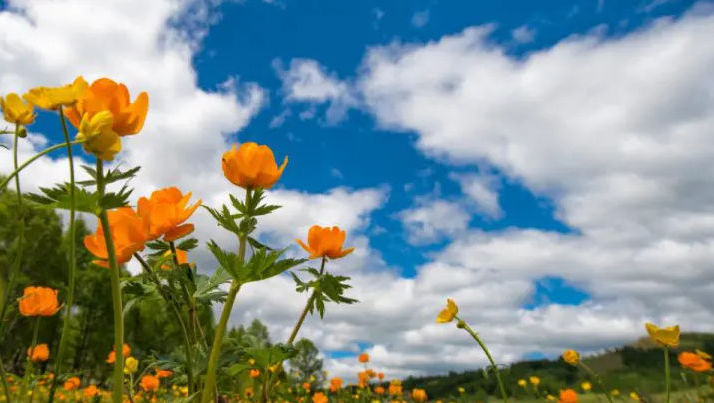 Meteo 6 iulie 2026: Vreme frumoasă și caldă în toată țara