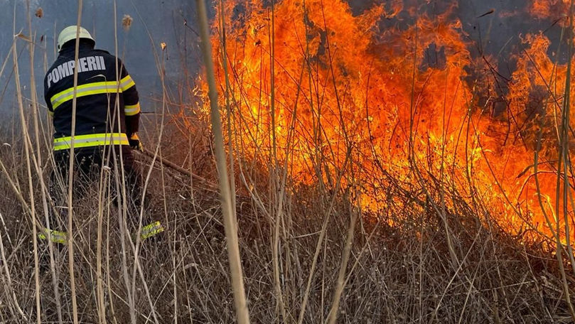 Pompierii, în alertă: 16 incendii de vegetație uscată în doar 24 de ore