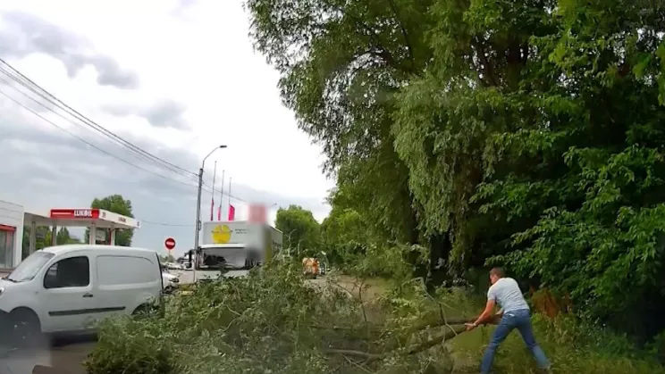 Sperietură pentru un șofer: Momentul în care o creangă uriașă cade în fața mașinii