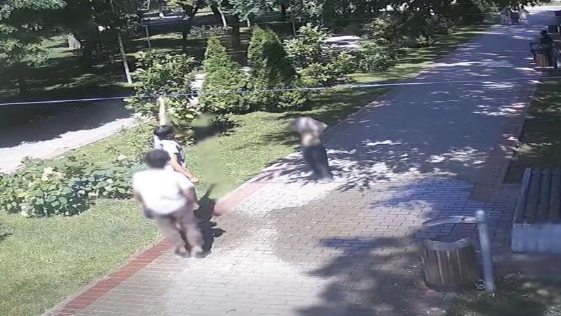 Vandalism în Parcul „Alunelul”: Sistemul de vaporizare, distrus de trei minori