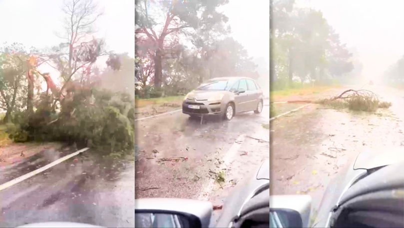 Ploaie torențială și copaci doborâți pe traseul M5, între Bălți și Recea