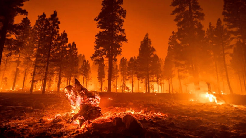 Europa, tot mai expusă în fața incendiilor devastatoare