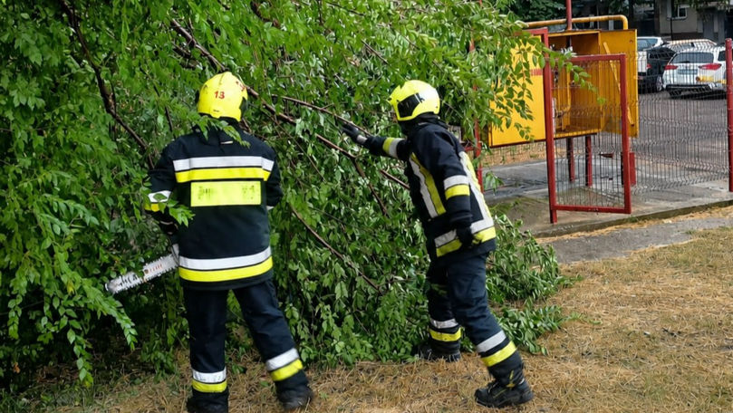 Furtuna a avariat acoperișuri și a doborât arbori în mai multe localități