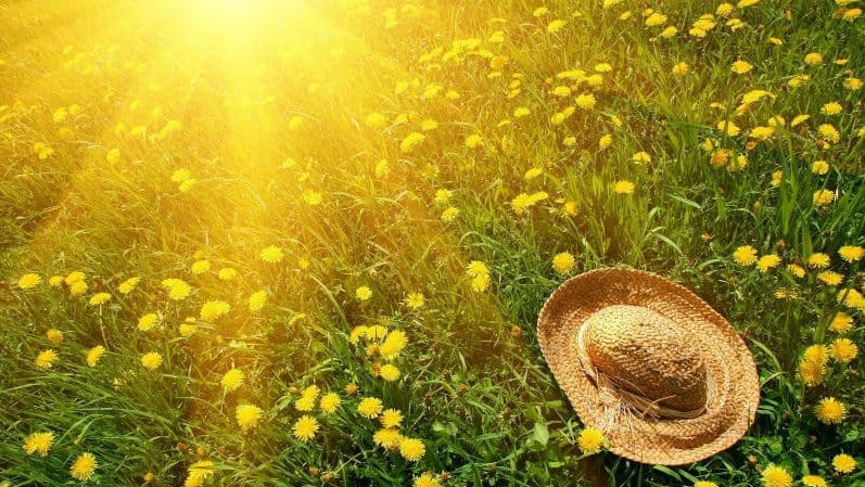Meteo 4 august 2026: Soare și temperaturi caniculare în toată țara
