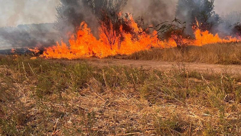 Avertizare meteo: Pericol de incendii de vegetație până la mijlocul lunii